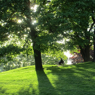 épanouissement du corps et de l'esprit